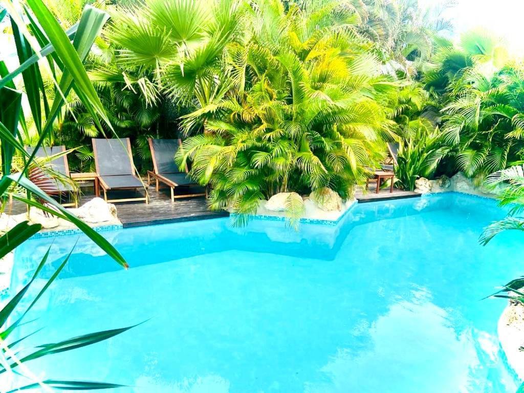 New House Tropic Paradise With Pool ウィレムスタッド エクステリア 写真